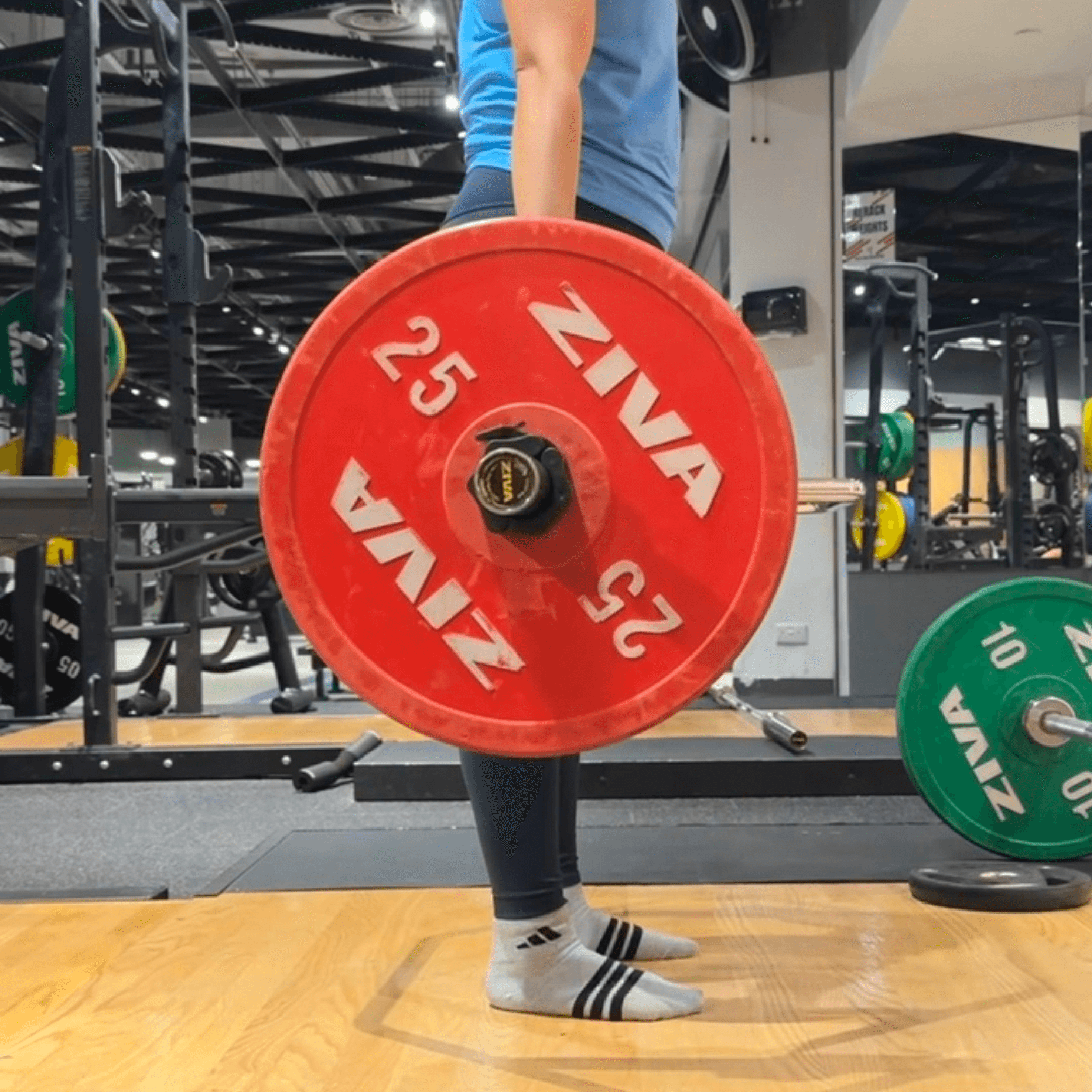 Barbell loaded up at the gym