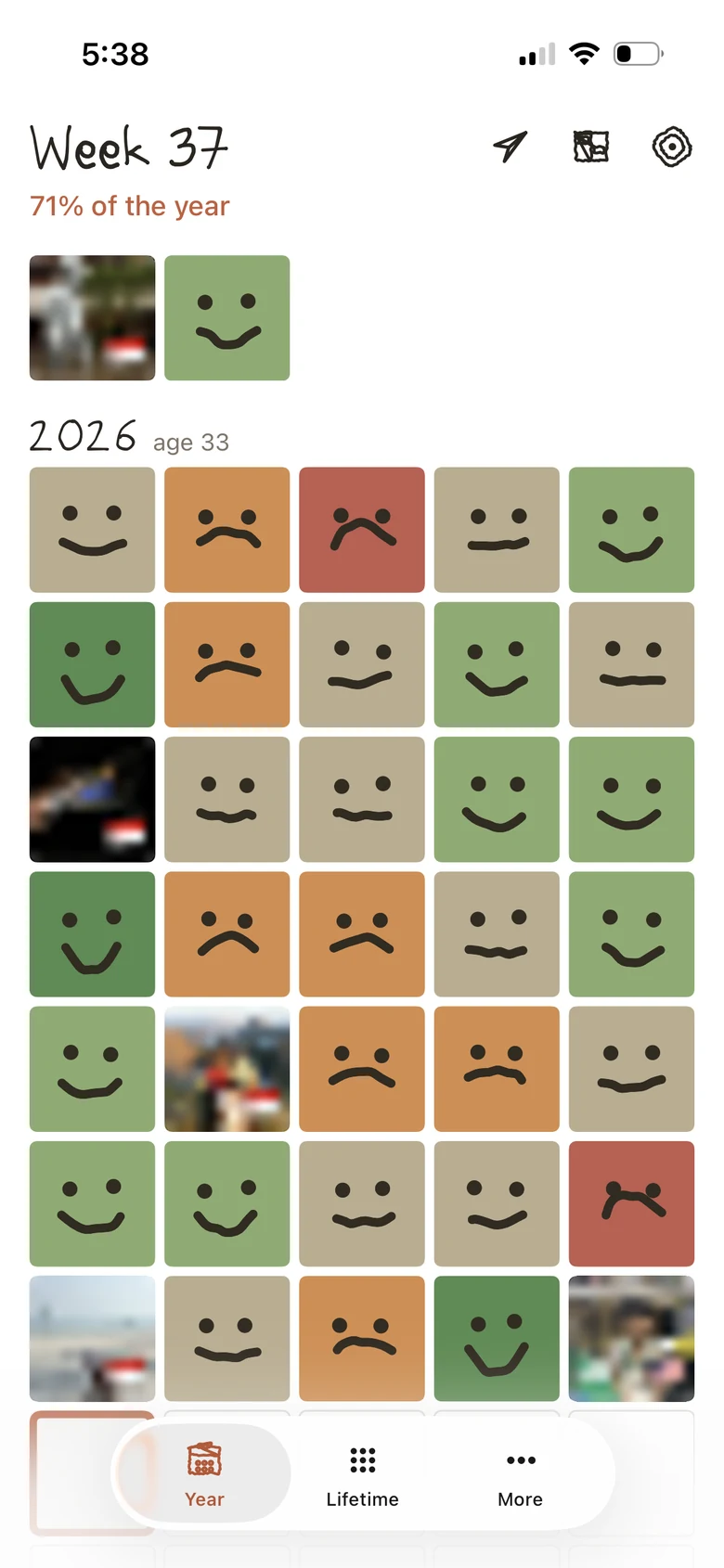 This year as a grid of weeks, each one drawn as how it went